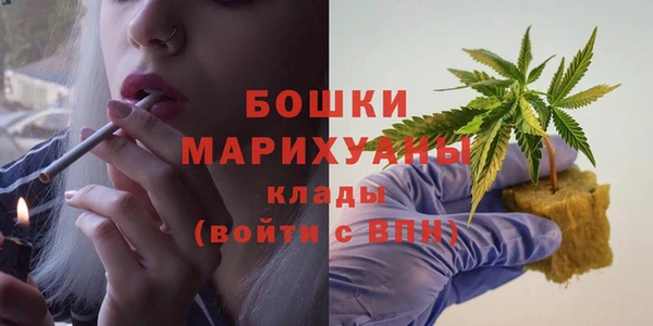 твердый Лиски