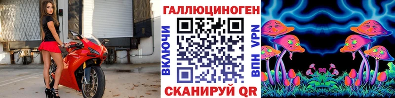 Псилоцибиновые грибы мицелий  купить   Адыгейск 